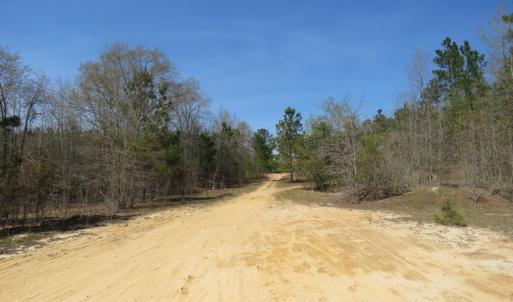 Photo of SOLD!!  77 Acres of Hunting Land For Sale in Scotland County NC!