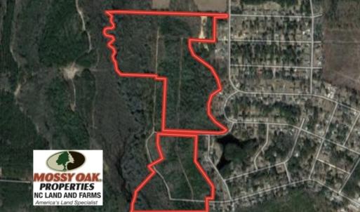 Photo of SOLD!!  77 Acres of Hunting Land For Sale in Scotland County NC!