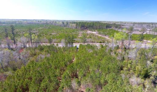 Photo of UNDER CONTRACT!  30 Acres of Hunting and Timberland For Sale in Bladen County NC!