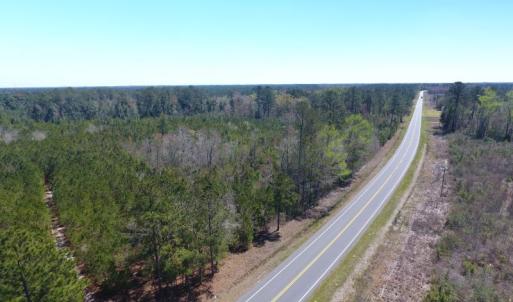 Photo of UNDER CONTRACT!  30 Acres of Hunting and Timberland For Sale in Bladen County NC!