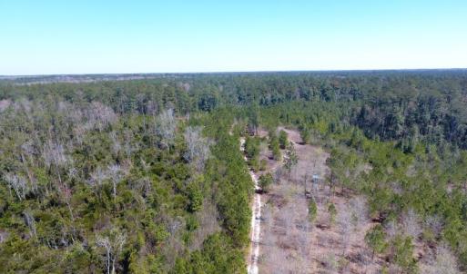Photo of UNDER CONTRACT!  30 Acres of Hunting and Timberland For Sale in Bladen County NC!
