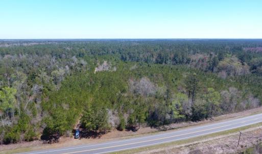 Photo of UNDER CONTRACT!  30 Acres of Hunting and Timberland For Sale in Bladen County NC!