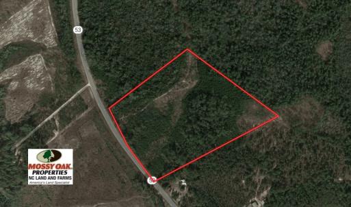Photo of UNDER CONTRACT!  30 Acres of Hunting and Timberland For Sale in Bladen County NC!