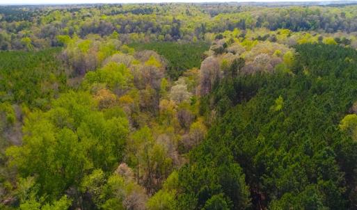 Photo of UNDER CONTRACT!  5 Acres of Residential and Recreational Land For Sale in Chatham County NC!