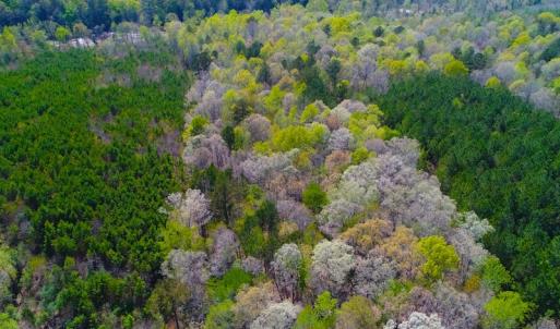 Photo of UNDER CONTRACT!  5 Acres of Residential and Recreational Land For Sale in Chatham County NC!