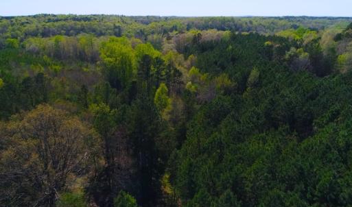 Photo of UNDER CONTRACT!  5 Acres of Residential and Recreational Land For Sale in Chatham County NC!