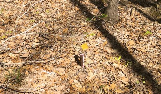 Photo of UNDER CONTRACT!  5 Acres of Residential and Recreational Land For Sale in Chatham County NC!