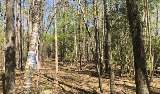 Photo of UNDER CONTRACT!  5 Acres of Residential and Recreational Land For Sale in Chatham County NC!