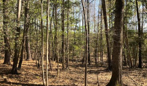 Photo of UNDER CONTRACT!  5 Acres of Residential and Recreational Land For Sale in Chatham County NC!