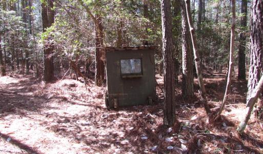 Photo of UNDER CONTRACT!  42 Acres of Hunting and Timber Land For Sale in Accomack County VA!