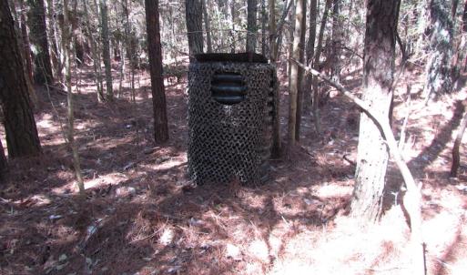 Photo of UNDER CONTRACT!  42 Acres of Hunting and Timber Land For Sale in Accomack County VA!