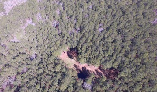 Photo of UNDER CONTRACT!  42 Acres of Hunting and Timber Land For Sale in Accomack County VA!