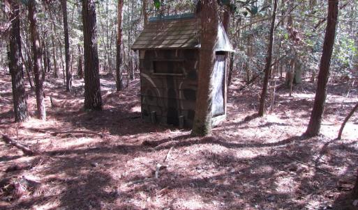 Photo of UNDER CONTRACT!  42 Acres of Hunting and Timber Land For Sale in Accomack County VA!