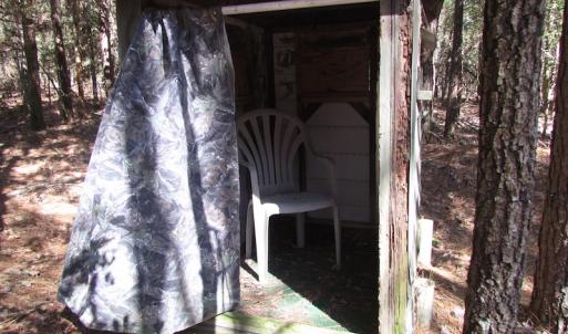 Photo of UNDER CONTRACT!  42 Acres of Hunting and Timber Land For Sale in Accomack County VA!