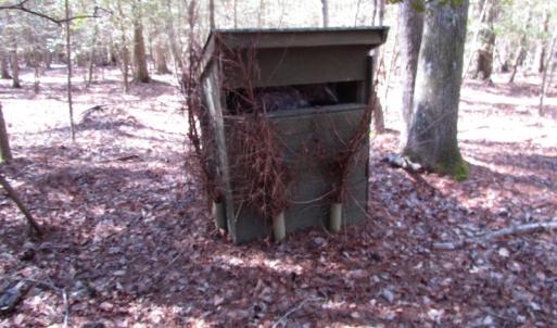 Photo of UNDER CONTRACT!  42 Acres of Hunting and Timber Land For Sale in Accomack County VA!