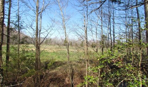 Photo of UNDER CONTRACT!  42 Acres of Hunting and Timber Land For Sale in Accomack County VA!