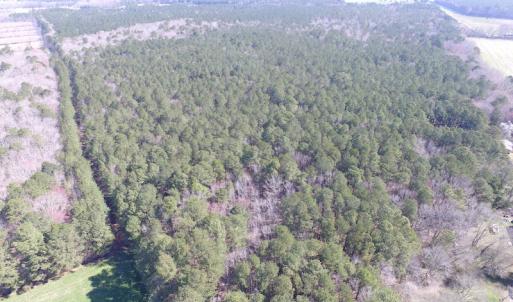 Photo of UNDER CONTRACT!  42 Acres of Hunting and Timber Land For Sale in Accomack County VA!