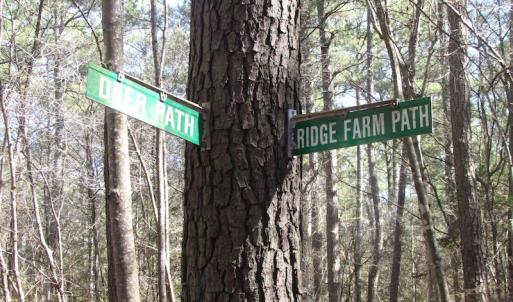 Photo of UNDER CONTRACT!  42 Acres of Hunting and Timber Land For Sale in Accomack County VA!