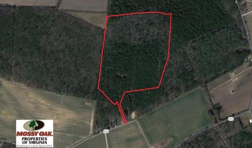 Photo of UNDER CONTRACT!  42 Acres of Hunting and Timber Land For Sale in Accomack County VA!