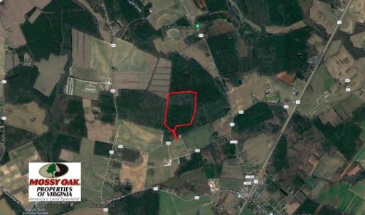 Photo of UNDER CONTRACT!  42 Acres of Hunting and Timber Land For Sale in Accomack County VA!