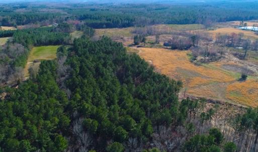 Photo of SOLD!  12.65 Acres of Residential Timber Land For Sale In Granville County NC!
