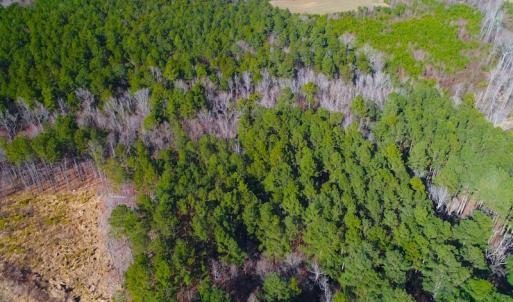 Photo of SOLD!  12.65 Acres of Residential Timber Land For Sale In Granville County NC!
