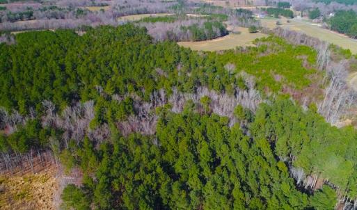 Photo of SOLD!  12.65 Acres of Residential Timber Land For Sale In Granville County NC!