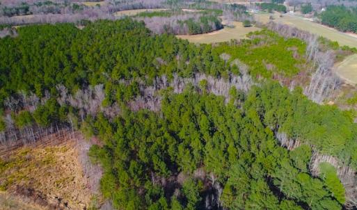 Photo of SOLD!  12.65 Acres of Residential Timber Land For Sale In Granville County NC!