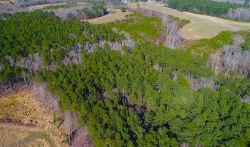 Photo of SOLD!  12.65 Acres of Residential Timber Land For Sale In Granville County NC!