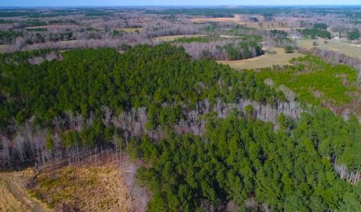 Photo of SOLD!  12.65 Acres of Residential Timber Land For Sale In Granville County NC!