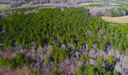 Photo of SOLD!  12.65 Acres of Residential Timber Land For Sale In Granville County NC!