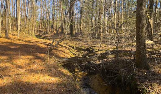 Photo of SOLD!  12.65 Acres of Residential Timber Land For Sale In Granville County NC!