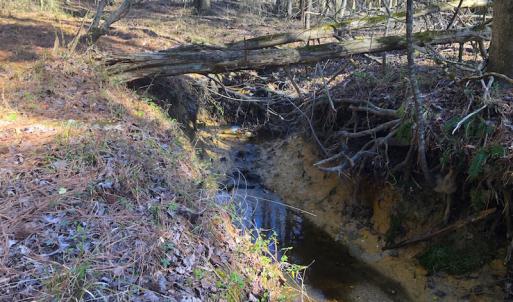 Photo of SOLD!  12.65 Acres of Residential Timber Land For Sale In Granville County NC!