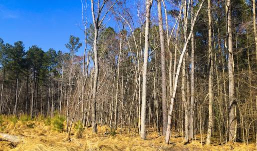 Photo of SOLD!  12.65 Acres of Residential Timber Land For Sale In Granville County NC!