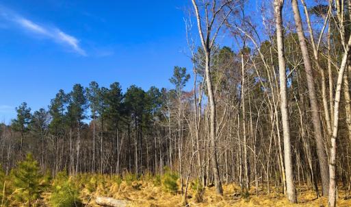 Photo of SOLD!  12.65 Acres of Residential Timber Land For Sale In Granville County NC!