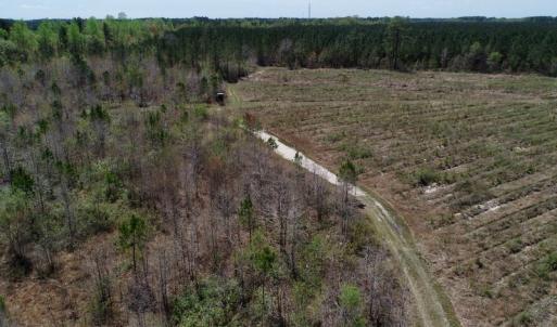Photo of SOLD!!  111 Acres of Hunting and Timber Land For Sale in Craven County NC!