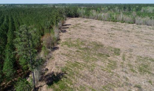 Photo of SOLD!!  111 Acres of Hunting and Timber Land For Sale in Craven County NC!