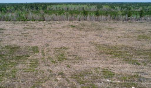 Photo of SOLD!!  111 Acres of Hunting and Timber Land For Sale in Craven County NC!