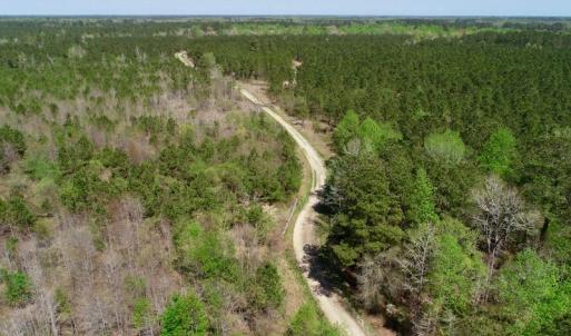 Photo of SOLD!!  111 Acres of Hunting and Timber Land For Sale in Craven County NC!