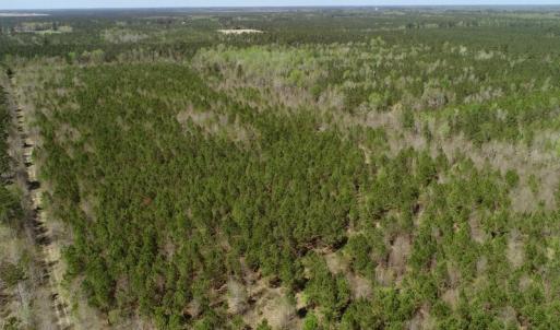 Photo of SOLD!!  111 Acres of Hunting and Timber Land For Sale in Craven County NC!