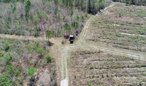 Photo of SOLD!!  111 Acres of Hunting and Timber Land For Sale in Craven County NC!