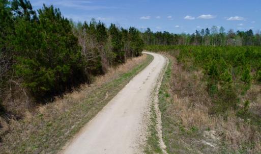 Photo of SOLD!!  111 Acres of Hunting and Timber Land For Sale in Craven County NC!