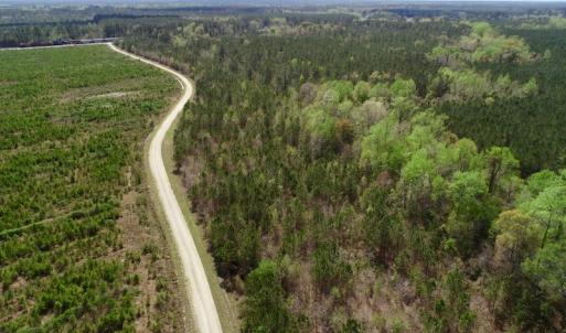 Photo of SOLD!!  111 Acres of Hunting and Timber Land For Sale in Craven County NC!