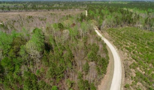 Photo of SOLD!!  111 Acres of Hunting and Timber Land For Sale in Craven County NC!