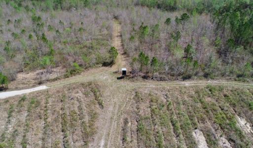Photo of SOLD!!  111 Acres of Hunting and Timber Land For Sale in Craven County NC!