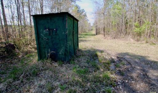 Photo of SOLD!!  111 Acres of Hunting and Timber Land For Sale in Craven County NC!