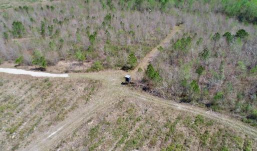 Photo of SOLD!!  111 Acres of Hunting and Timber Land For Sale in Craven County NC!