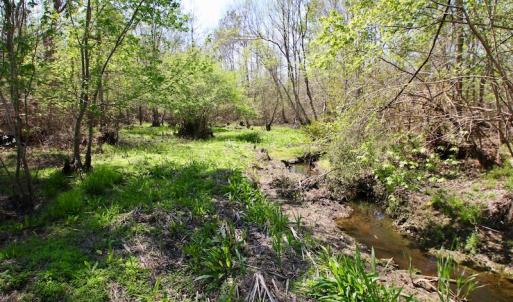 Photo of SOLD!!  111 Acres of Hunting and Timber Land For Sale in Craven County NC!