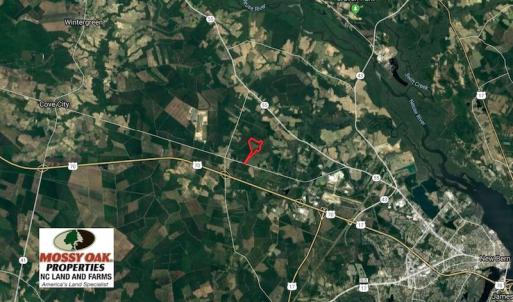 Photo of SOLD!!  111 Acres of Hunting and Timber Land For Sale in Craven County NC!