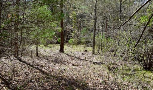 Photo of UNDER CONTRACT!  6 Acres of Hunting and Recreational Land with Cabin For Sale in Amherst County VA!
